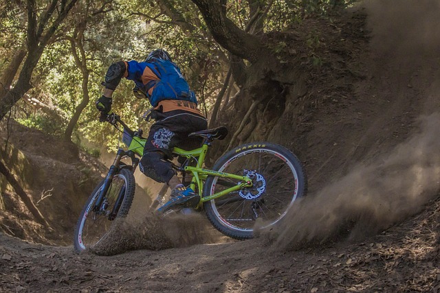 Vorstellung Dirtpark